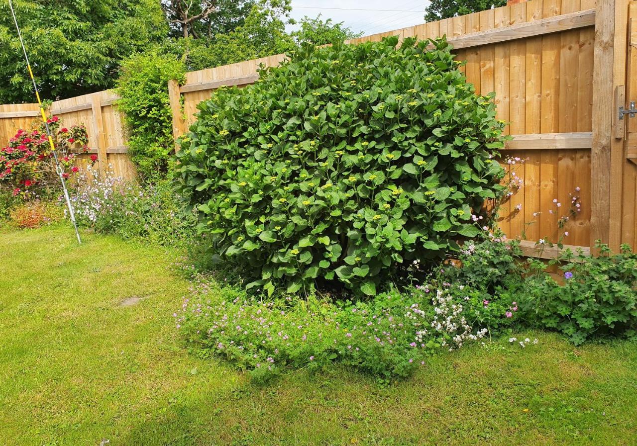 Forest Farm Papplewick Nottingham - Spacious Self-Contained Rural Retreat! Экстерьер фото