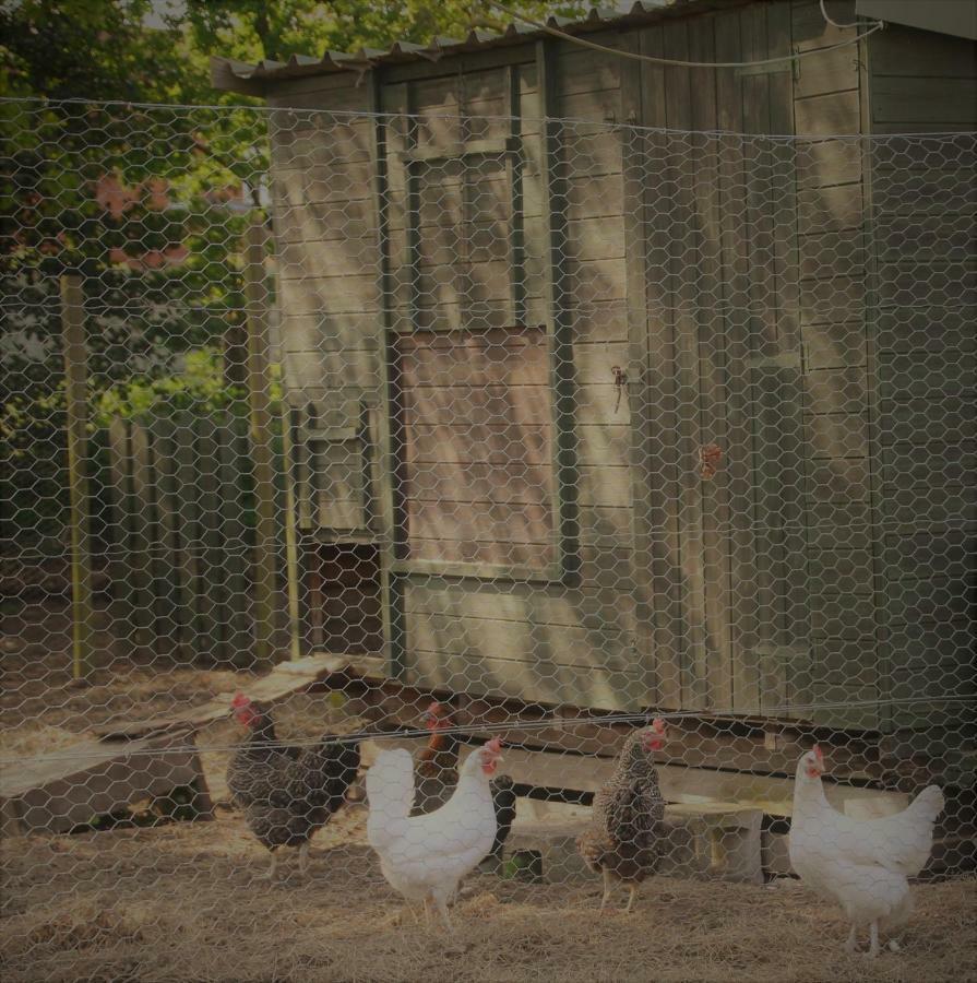 Forest Farm Papplewick Nottingham - Spacious Self-Contained Rural Retreat! Экстерьер фото